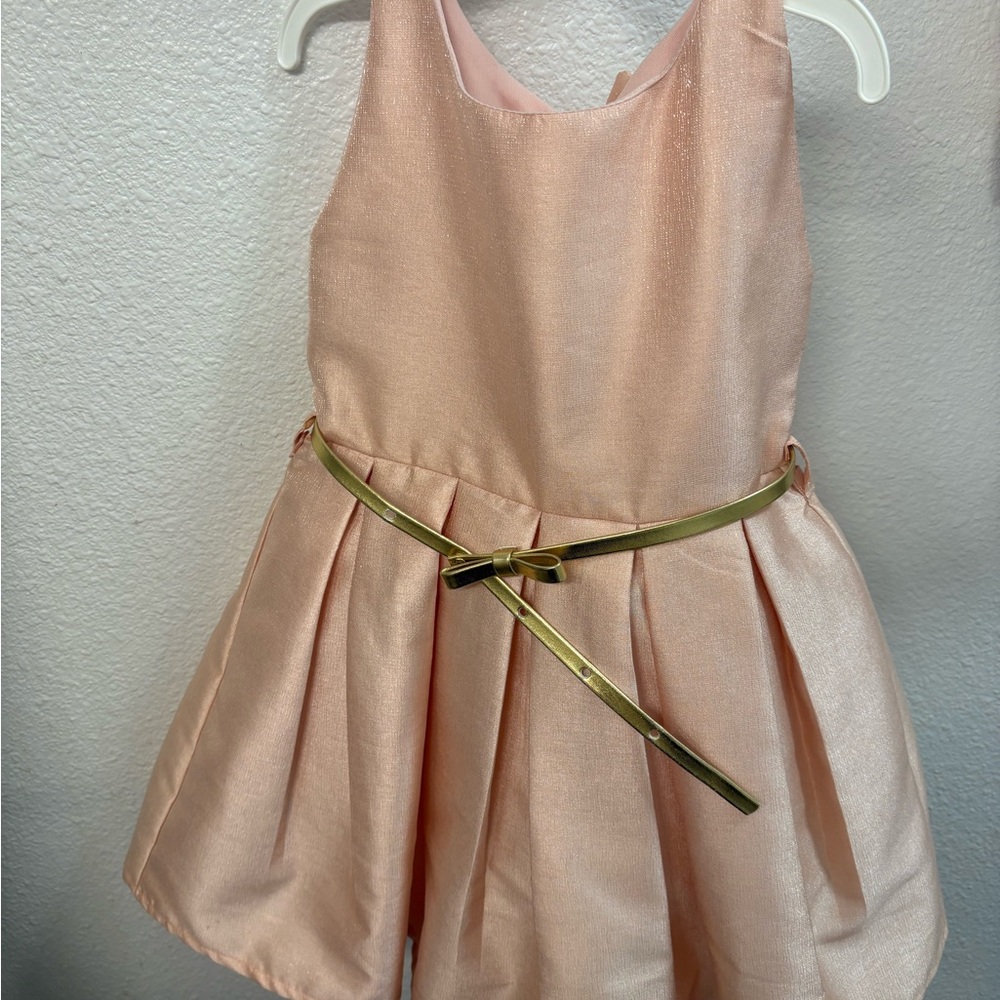 Fancy Pink Kids Easter Dress with Gold Belt
